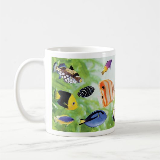 華やかな海水魚 KOFFIEMOK (Links)