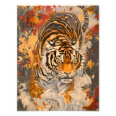躍動感あふれる虎の一歩／A tiger full of motion Foto Afdruk (Voorkant)