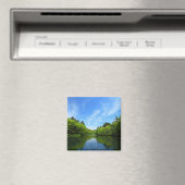 軽井沢・夏の雲場池 MAGNEET (Insitu (Vaatwasser))