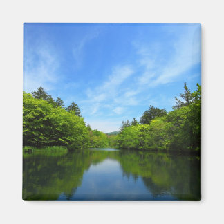 軽井沢・夏の雲場池 MAGNEET