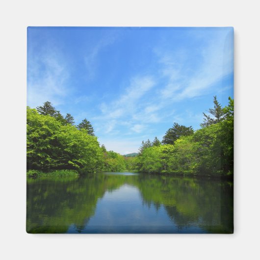 軽井沢・夏の雲場池 MAGNEET (Voorkant)