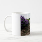 野良猫ニャン吉【カモミール】 KOFFIEMOK (Links)