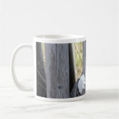 野良猫ニャン吉【逃走中】 KOFFIEMOK (Links)