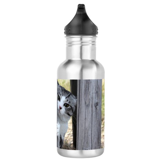 野良猫ニャン吉【逃走中】 WATERFLES  (Rechts)