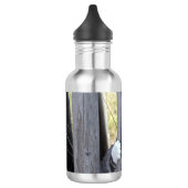 野良猫ニャン吉【逃走中】 WATERFLES  (Links)