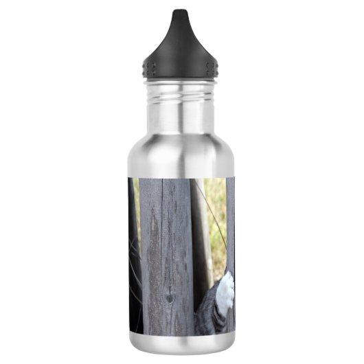 野良猫ニャン吉【逃走中】 WATERFLES  (Links)