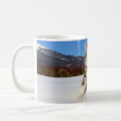 野良猫ニャン吉【雪原を行く】 KOFFIEMOK (Links)