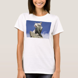 野良猫ニャン吉【青空眩しいぜ！】 T-SHIRT