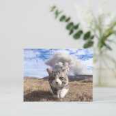 野 良 吉 op het 猫 ニ briefkaart (Staand voorkant)