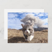 野 良 吉 op het 猫 ニ briefkaart (Voorkant / Achterkant)
