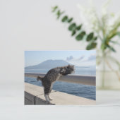 野 良 op 吉, ニャ猫ン briefkaart (Staand voorkant)