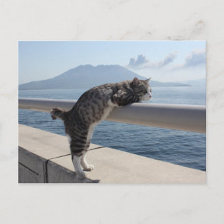 野 良 op 吉, ニャ猫ン briefkaart