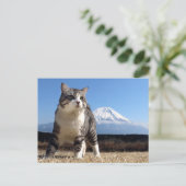 野 良 op 吉 op ニャ op de computer! briefkaart (Staand voorkant)