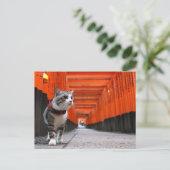 野 良 op 吉 op het 猫 ニ op het ャ briefkaart (Staand voorkant)