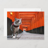 野 良 op 吉 op het 猫 ニ op het ャ briefkaart (Voorkant / Achterkant)