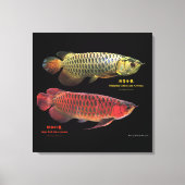 金と赤のAsian Arowana Canvas Afdruk (Voorkant)