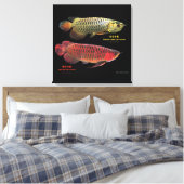 金と赤のAsian Arowana Canvas Afdruk (Insitu (Slaapkamer))