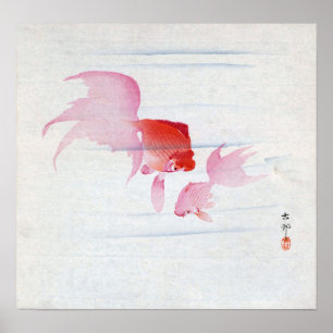 金 魚, 古 Paar Goldfish, Koson, Ukiyo-e, Woodcut Poster