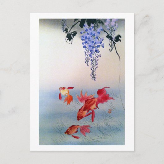 金 魚 藤, 小 原 Goldfish en Wisteria, Ohara Kohara Briefkaart (Voorkant)