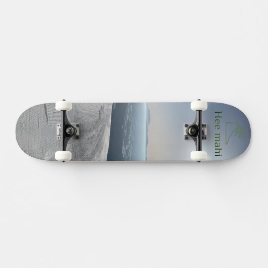 陸 海 雪 PERSOONLIJK SKATEBOARD (Horizontaal)