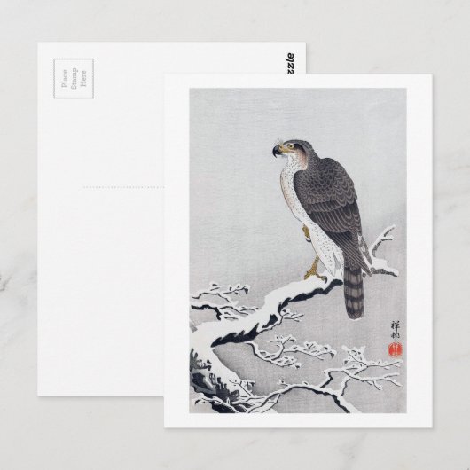 雪 に 鷹, 古 Hawk op de sneeuwstak, Ohara Koson Briefkaart (Voorkant / Achterkant)