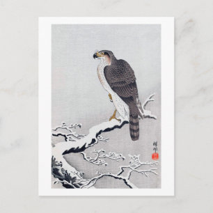 雪 に 鷹, 古 Hawk op de sneeuwstak, Ohara Koson Briefkaart