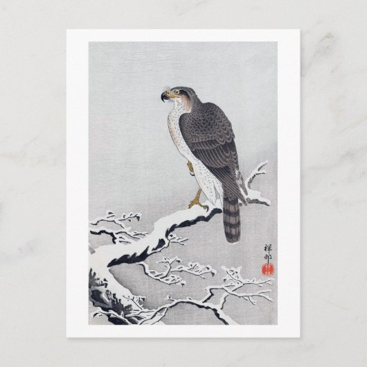 雪 に 鷹, 古 Hawk op de sneeuwstak, Ohara Koson Briefkaart (Voorkant)