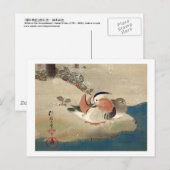雪 中 鳥 (部 分), 抱 Birds in het Sneeuwdetail, Hōitsu Briefkaart (Voorkant / Achterkant)