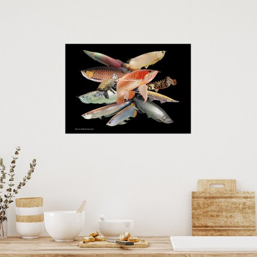 飛び出す大型熱帯魚たち,N0.01 POSTER (Keuken)