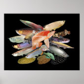 飛 び 大 型  onder出 N0.02すN00000000 Poster (Voorkant)