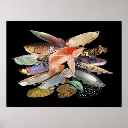 飛 び 大 型  onder出 N0.02すN00000000 Poster (Voorkant)