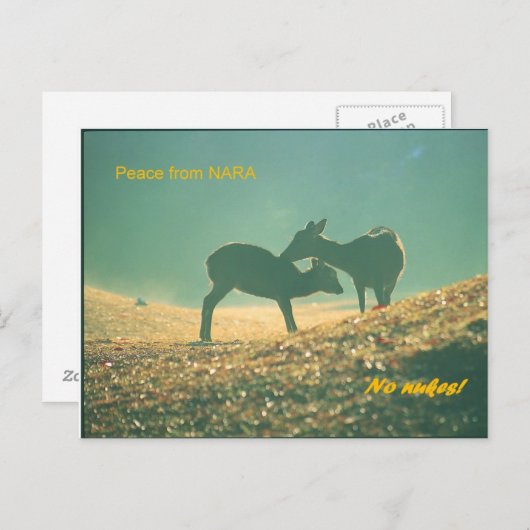 鹿 nara briefkaart (Voorkant / Achterkant)