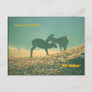 鹿 nara briefkaart