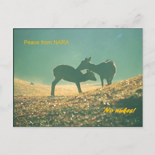 鹿 nara briefkaart (Voorkant)