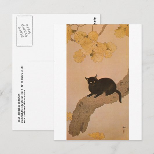 黒猫, 春草 Zwarte Kat, Shunsō Briefkaart (Voorkant / Achterkant)
