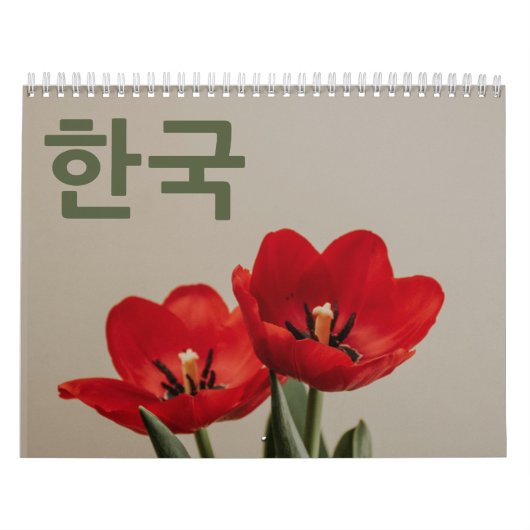 한국 달력 Korea Kalender in het Koreaans 2026 (Hoes)