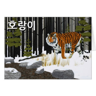 호 이 (Siberische tijger)