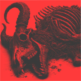 𝗠𝗔𝗚𝗚𝗢𝗧 𝗡 𝗘 𝗦 𝗧 | STICKER