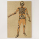 Zoek naar menselijke anatomie puzzels Skelet