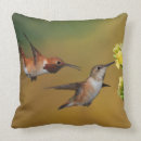 Zoek naar roofvogel kussens Vogelfoto