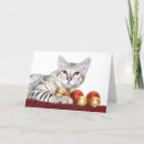 Zoek naar bengalen kaarten Dier