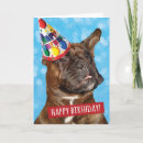 Zoek naar happy birthday boxers kaarten Bokser