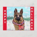 Zoek naar witte herder briefkaarten Kerstmis