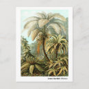 Zoek naar ernst haeckel briefkaarten Kunstformen der natur