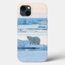 Zoek naar ijsbeer iphone hoesjes Sneeuw
