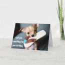 Zoek naar chihuahua puppy kaarten Humor