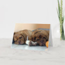 Zoek naar dogue de bordeaux kaarten Hond