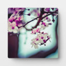 Zoek naar japan fotoplaat Sakura