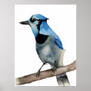 Zoek naar wilde vogel posters Dieren