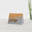 Zoek naar baby kuiken briefkaarten Leuk